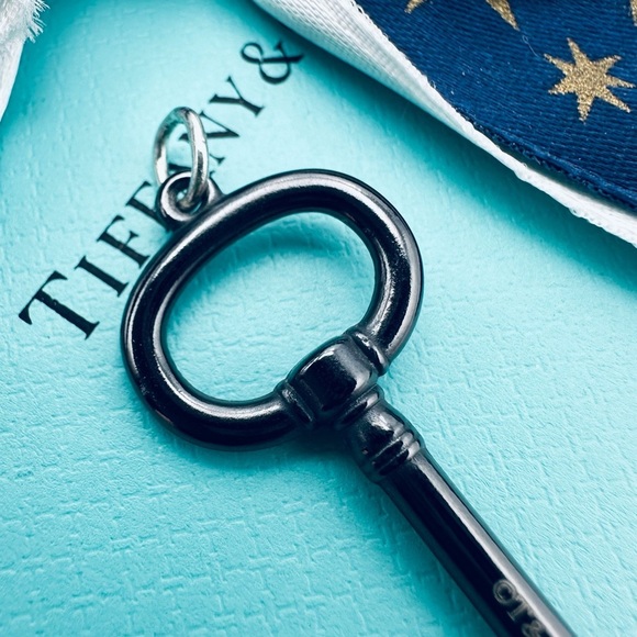 Retired Tiffany & Co. Black Titanium Oval Key Charm Pendant with Pouch - Picture 4 of 8